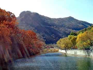 2004新澳门天天开好彩，鸡冠花种子价格